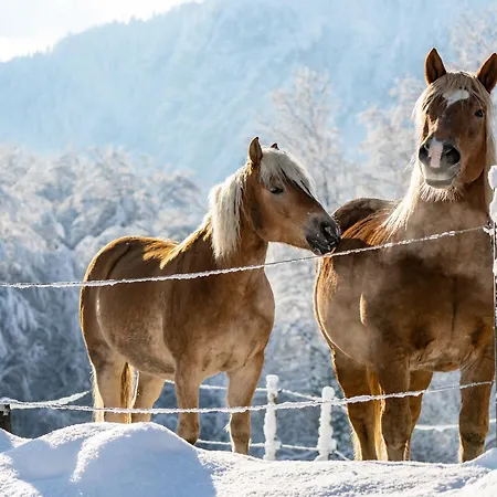 & Lampllehen Отель